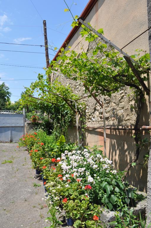 Guest House Cico Telavi Exterior foto